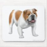 English Bulldog Mousepad