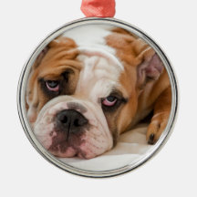 English Bulldog Ornaments