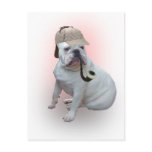 English Bulldog Postcards