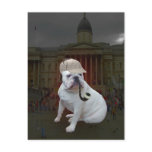 English Bulldog Post Cards