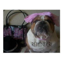 ENGLISH BULLDOG POSTCARD REMINDER
