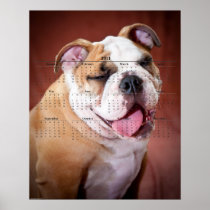 English Bulldog Puppy Posters