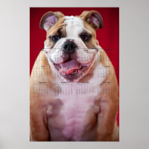 English Bulldog Puppy Print