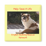 English Bulldog Rescue Network - Customised magnets