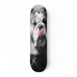 english bulldog skateboard decks