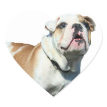 English bulldog sticker