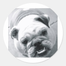 English Bulldog Stickers