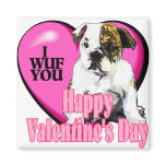 English Bulldog Valentine's Day Gifts magnets