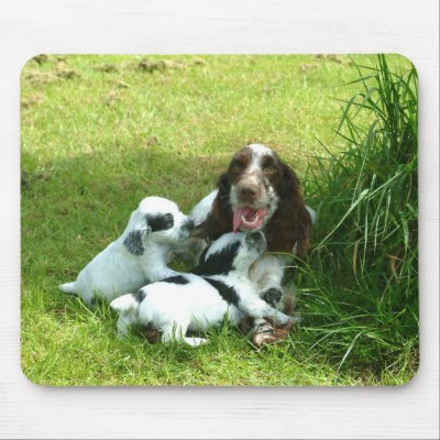 English Cocker Spaniel and Puppies Mousepad by Irishdreams