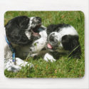 English Cocker Spaniel Puppies Mousepad