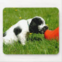 English Cocker Spaniel Puppy with Red Clog mousepads