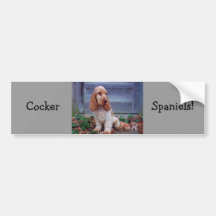 English Cocker Spaniels Bumper Sticker