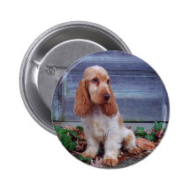 English Cocker Spaniels Buttons