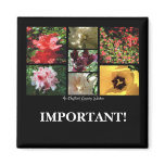 English Country Garden Montage | Magnet