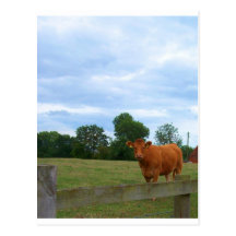 English countryside photos postcards