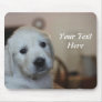 English Cream Goldens Mousepad