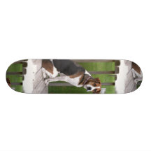 English Foxhound Skateboard