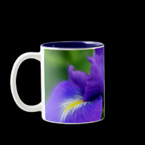 English Lily mugs