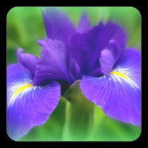 English Lily stickers