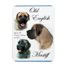English Mastiff Art Vinyl Magnets