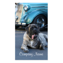 English Mastiff Business Cards