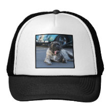 English Mastiff cap Hats