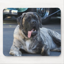 English Mastiff mousepad