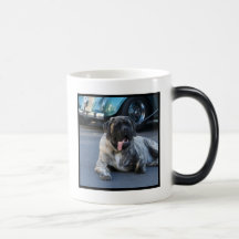 English Mastiff Mug