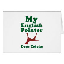 English Pointer Cards