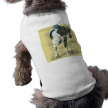 English Pointer Dog Clothes