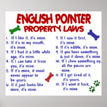 ENGLISH POINTER PL2 POSTERS