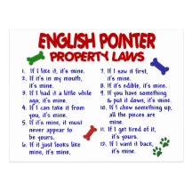 ENGLISH POINTER Property Laws 2 Postcards