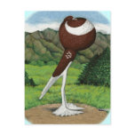 English Pouter:  Red With Mountains Post Cards