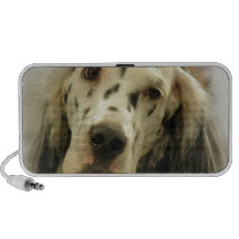 English Setter Dog Portable Speakers