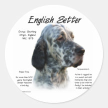 English Setter History Design Round Stickers