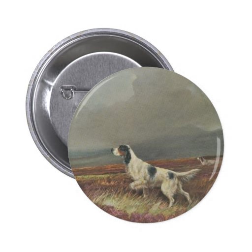 English Setter On Moorland Button