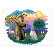 English Setter Post Cards
