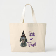 English Setter Trick Bag