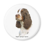 English Springer Spaniel 8M15D-05 magnets