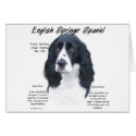 English Springer Spaniel (blk) History Design cards