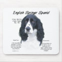 English Springer Spaniel (blk) History Design mousepads