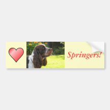 English Springer Spaniel Bumper Stickers