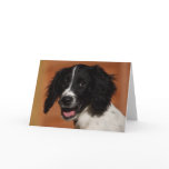 English Springer Spaniel cards