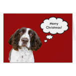 English Springer Spaniel Christmas Card