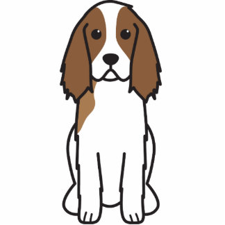 springer english haircut Acrylic Out Springer Spaniel Cut Cartoon English Dog