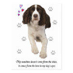 English Springer Spaniel Dog Post Cards