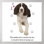 English Springer Spaniel Dog posters