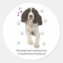 English Springer Spaniel Dog Sticker