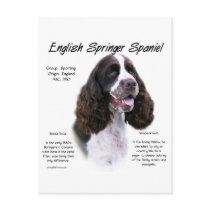 English Springer Spaniel (liver) History Design