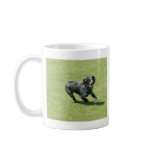 English Springer Spaniel mugs